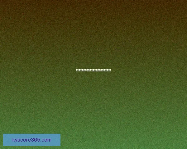 开云体育最新版本下载全攻略与功能使用指南详解